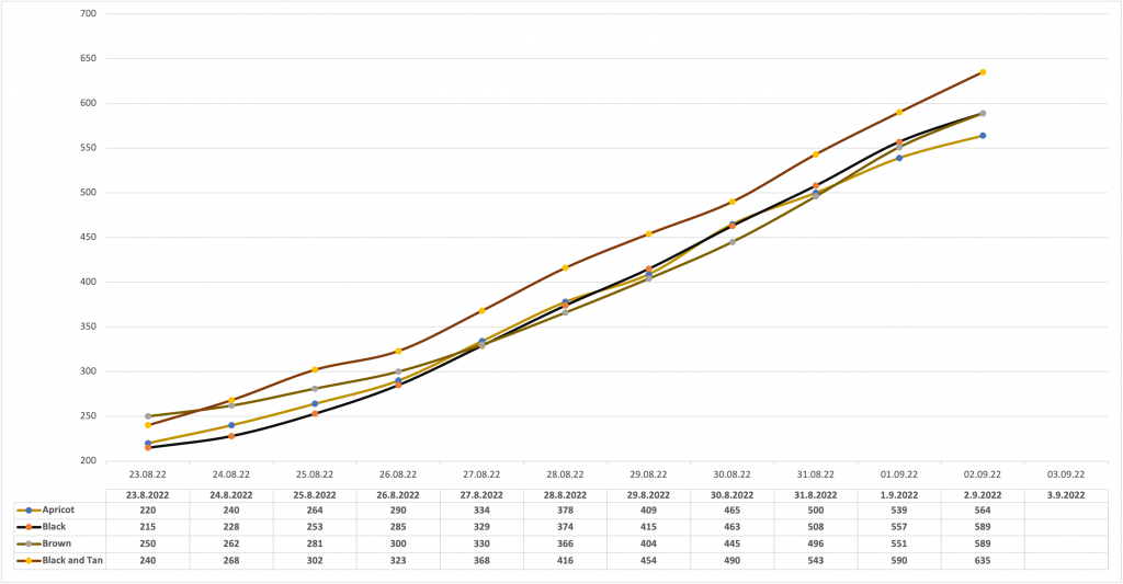 Entwicklung Welpengewicht